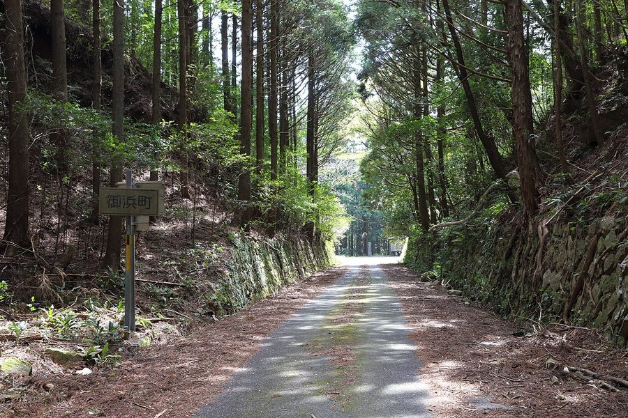 御浜町内の山あいの道
