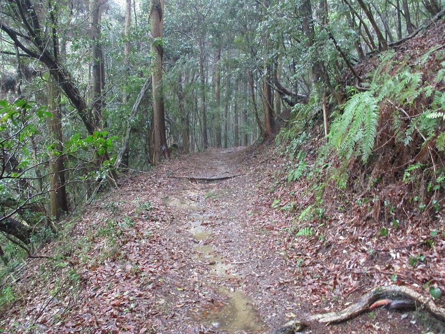 熊野古道伊勢路の女鬼峠