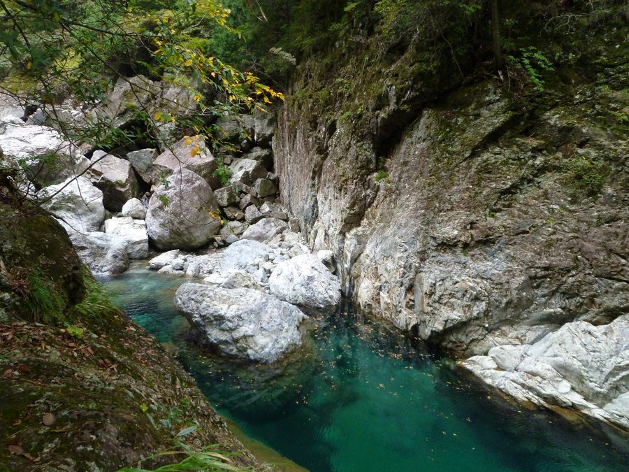 大杉谷の中流域