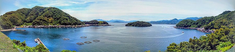 伊根湾の全景