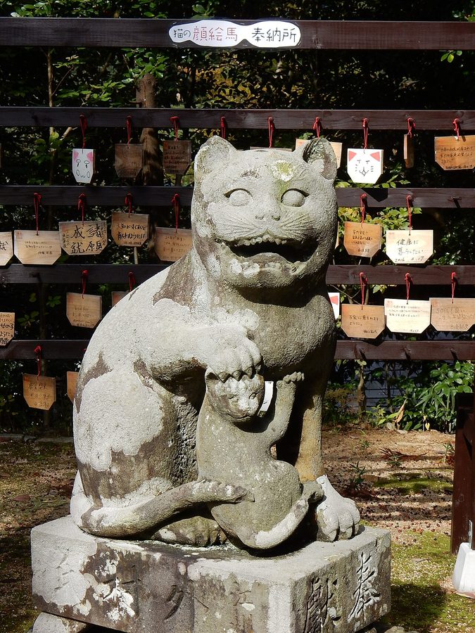 狛猫