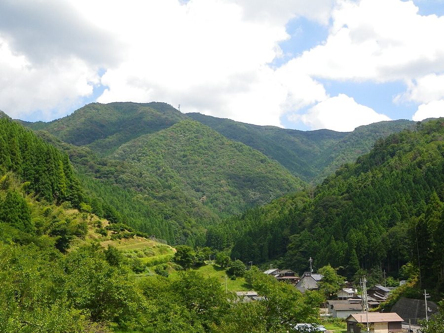 長老ヶ岳を望む