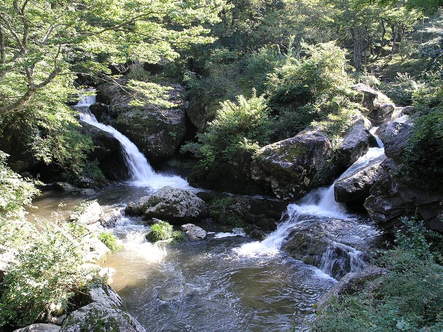 るり渓の渓流