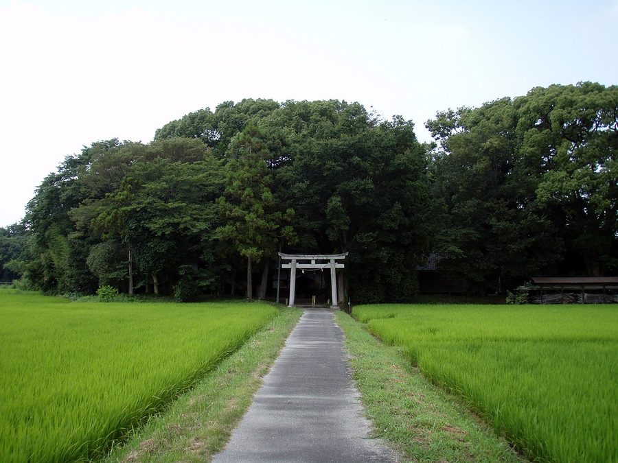 水主神社の参道