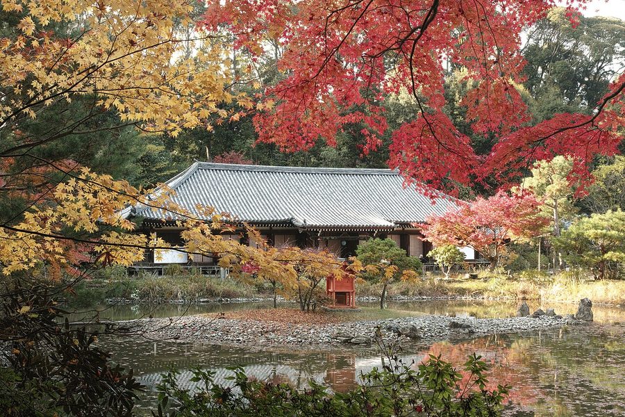 浄瑠璃寺本堂（国宝）と紅葉