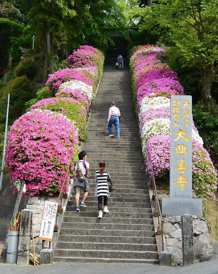 大興善寺の参道石段