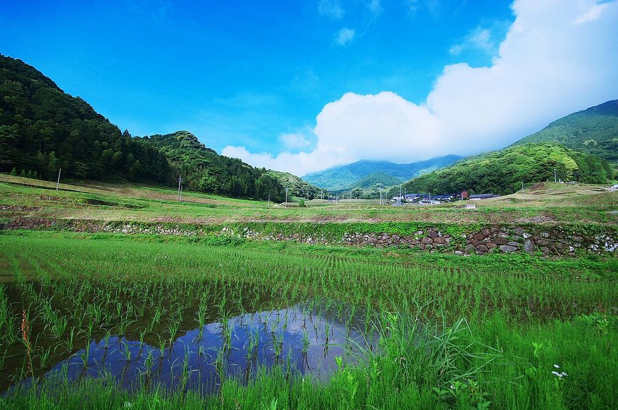 すみやま棚田