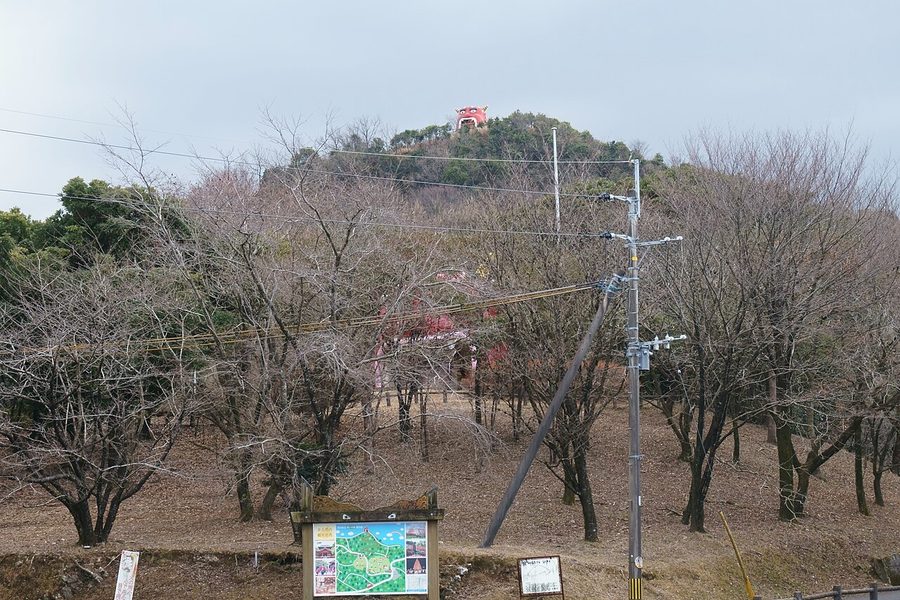 鬼の鼻山の山頂部