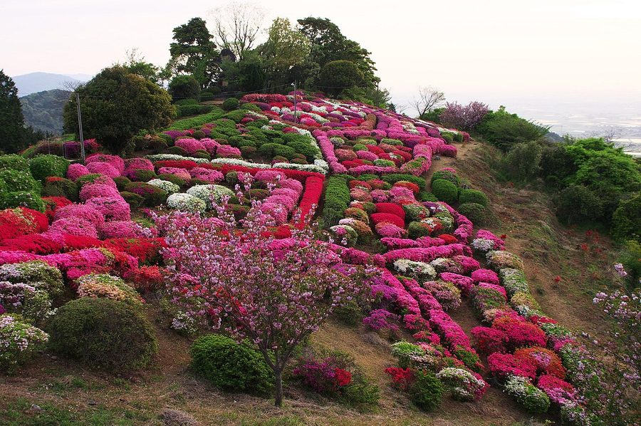 歌垣公園