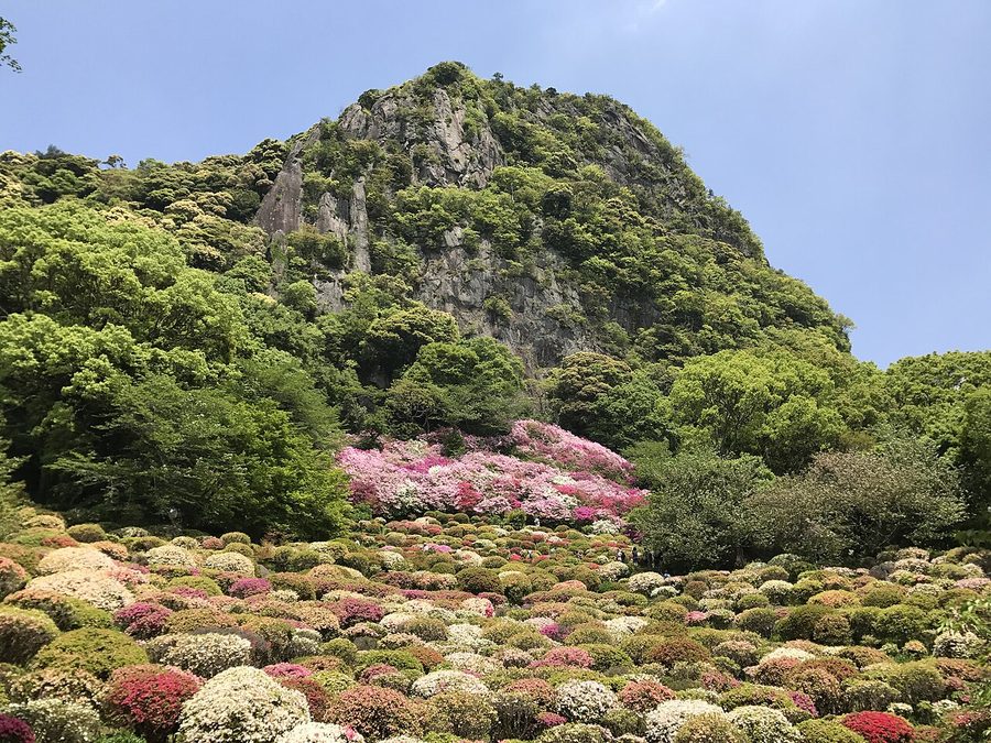 御船山楽園のツツジ谷と御船山