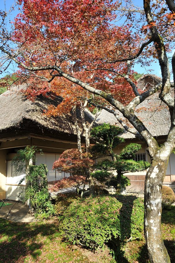 九年庵の庭園