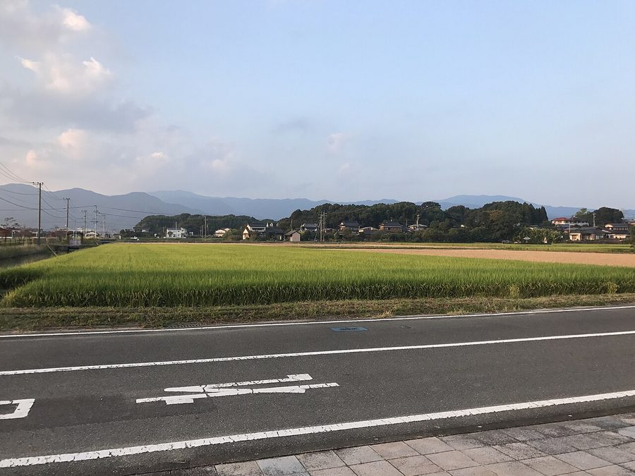 稲田越しに望む山並み