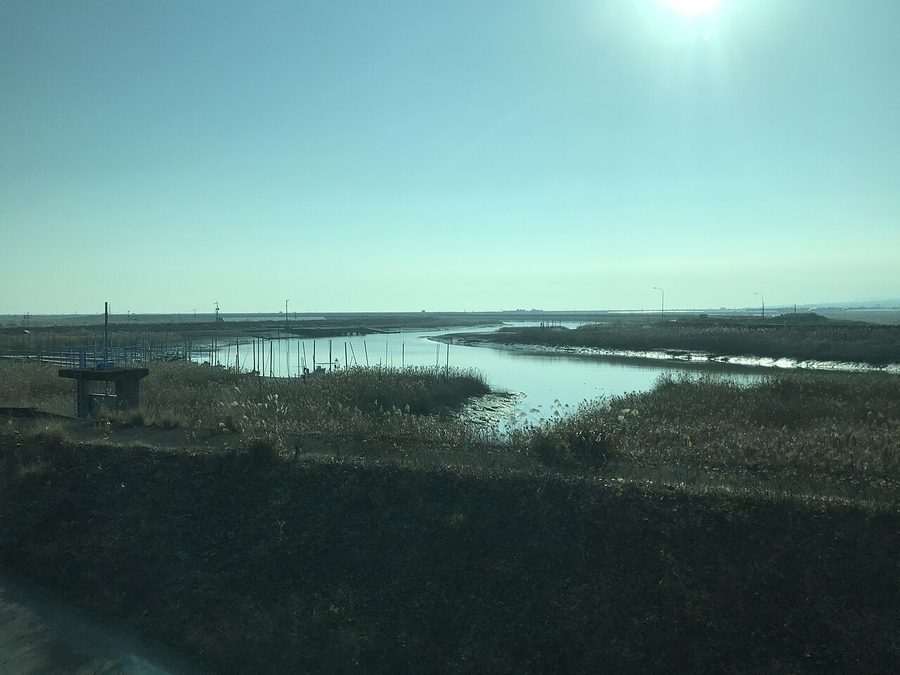 塩田川下流域の風景