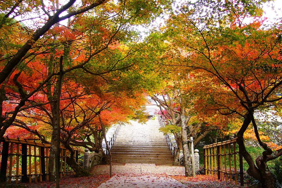 円通寺の参道石段
