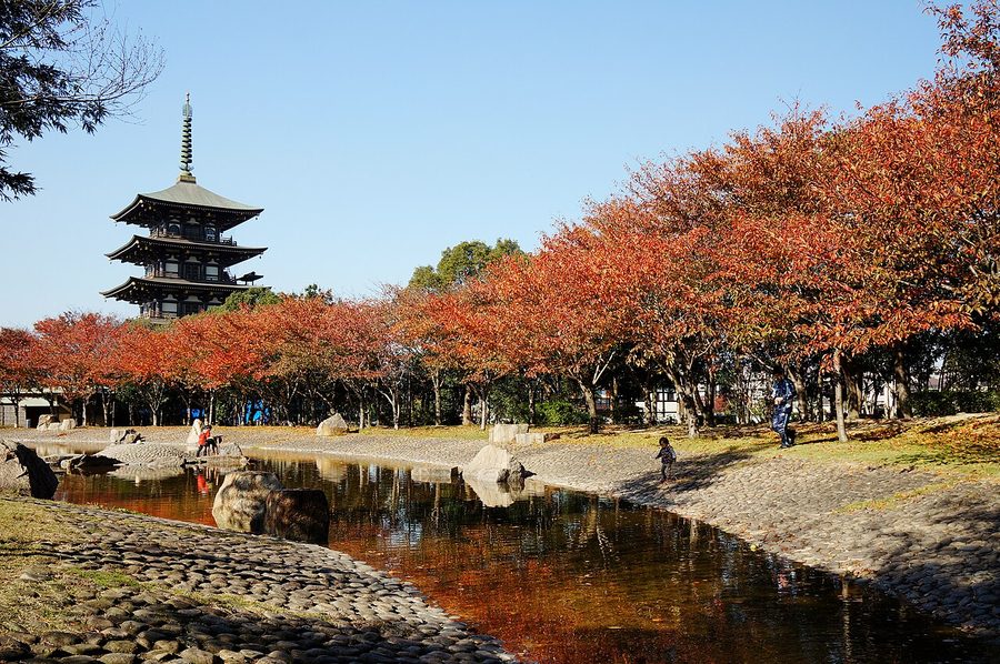 野添北公園の紅葉