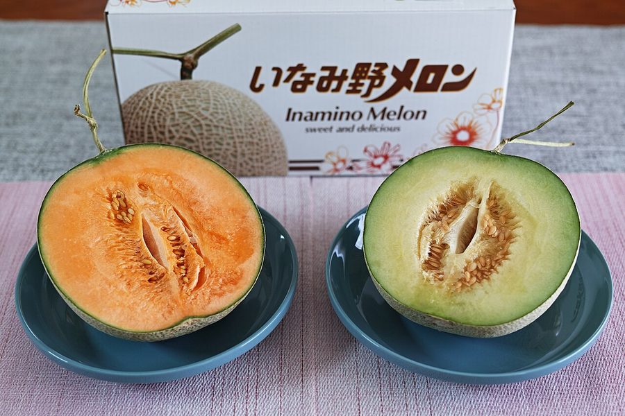 いなみ野メロン