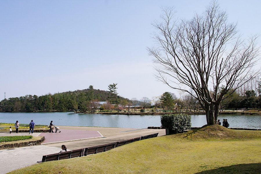 兵庫県立フラワーセンター園内の池