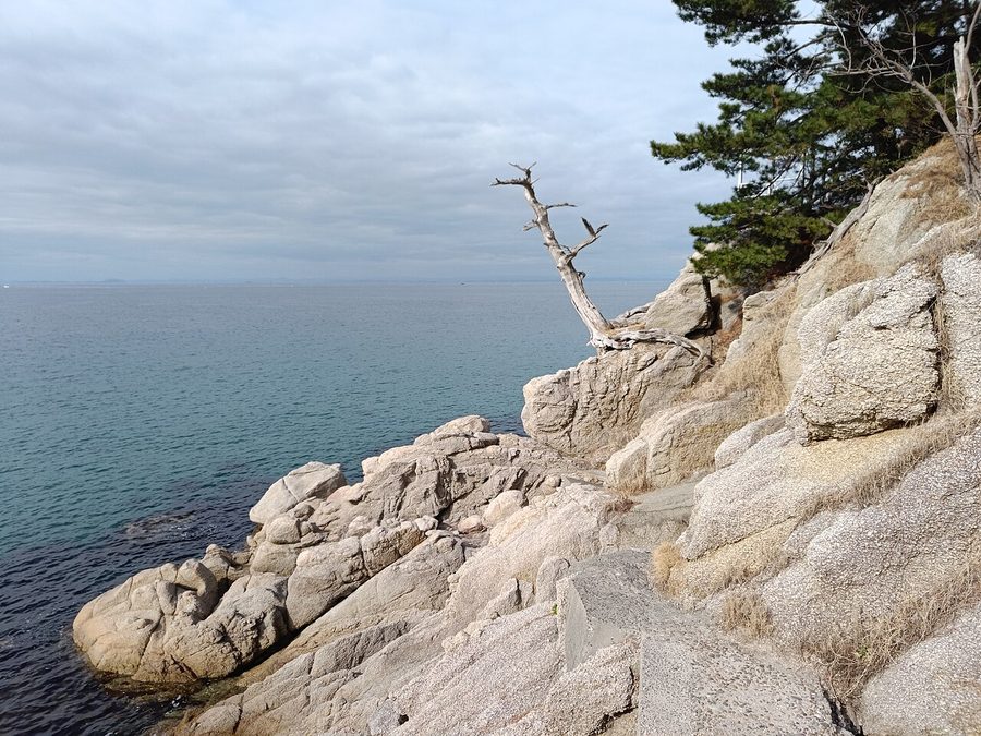 明神岬の海岸