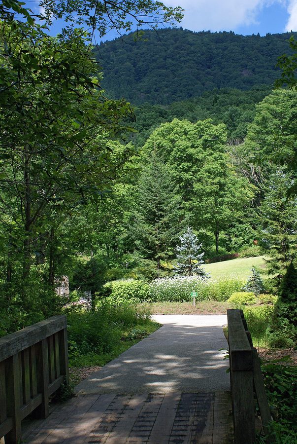 但馬高原植物園（瀞川平）