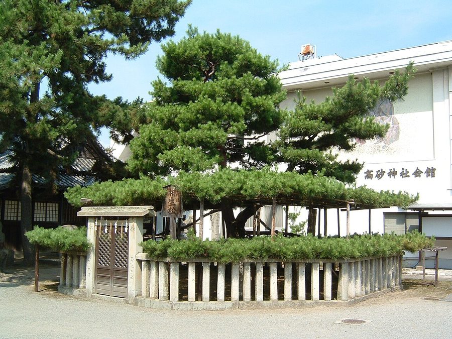 相生の松