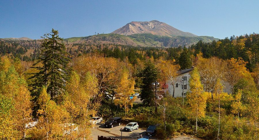 旭岳温泉から望む紅葉期の旭岳