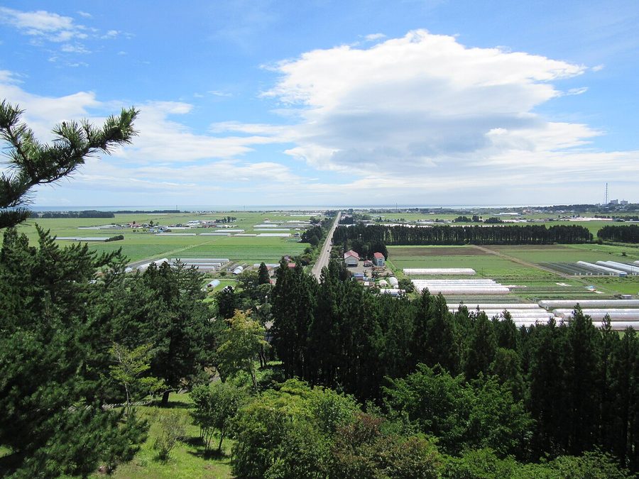 重内神社の参道から知内町中心部を望む