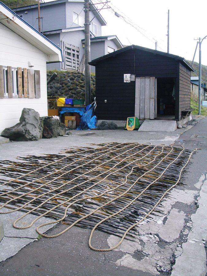 利尻島の路傍で干される昆布