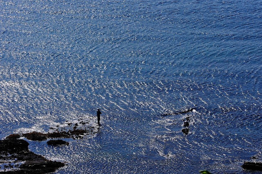 村内の海岸線