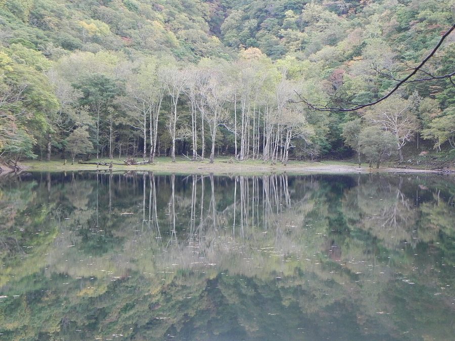 豊似湖の湖畔