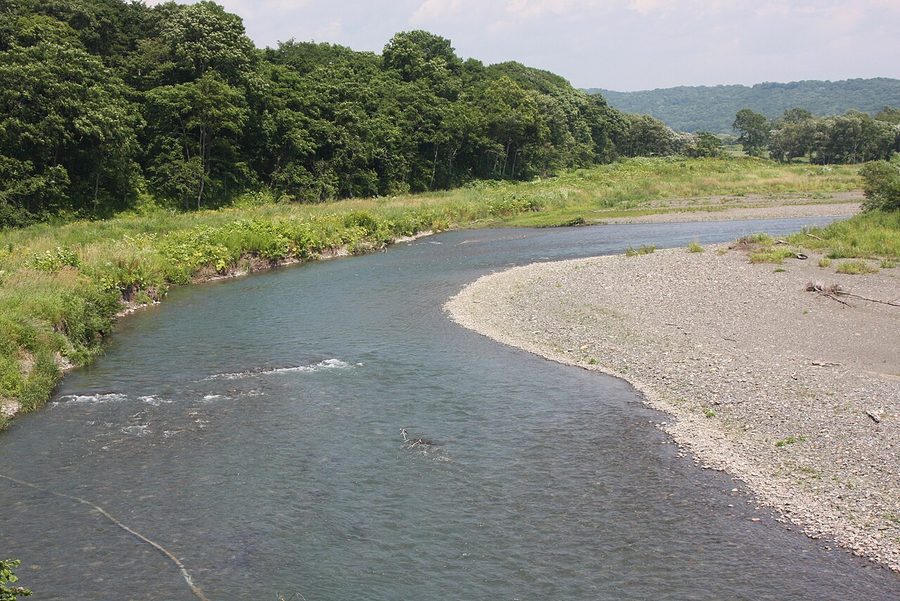 新冠川の流れ