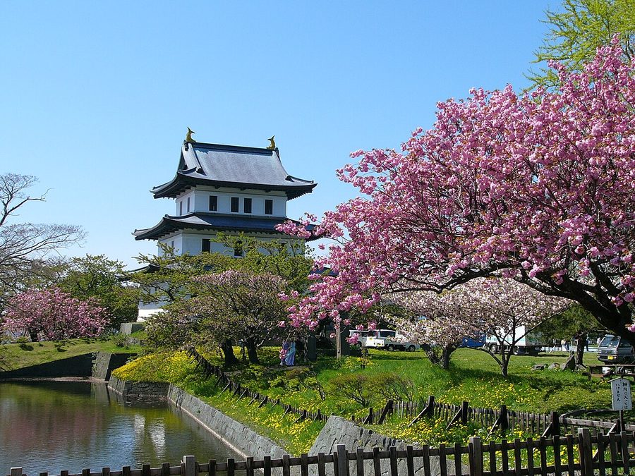 松前城天守と桜
