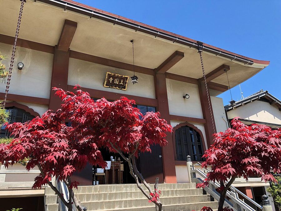 上国寺本堂
