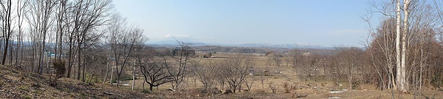 館城跡の全景