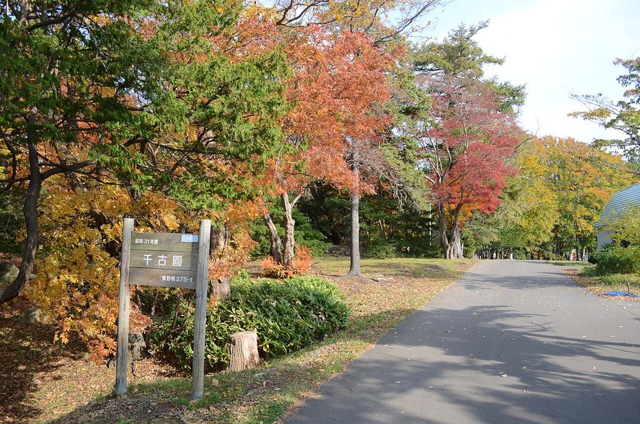 千古園の紅葉した並木道