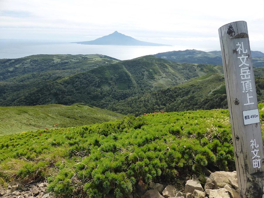 礼文岳山頂から望む利尻山