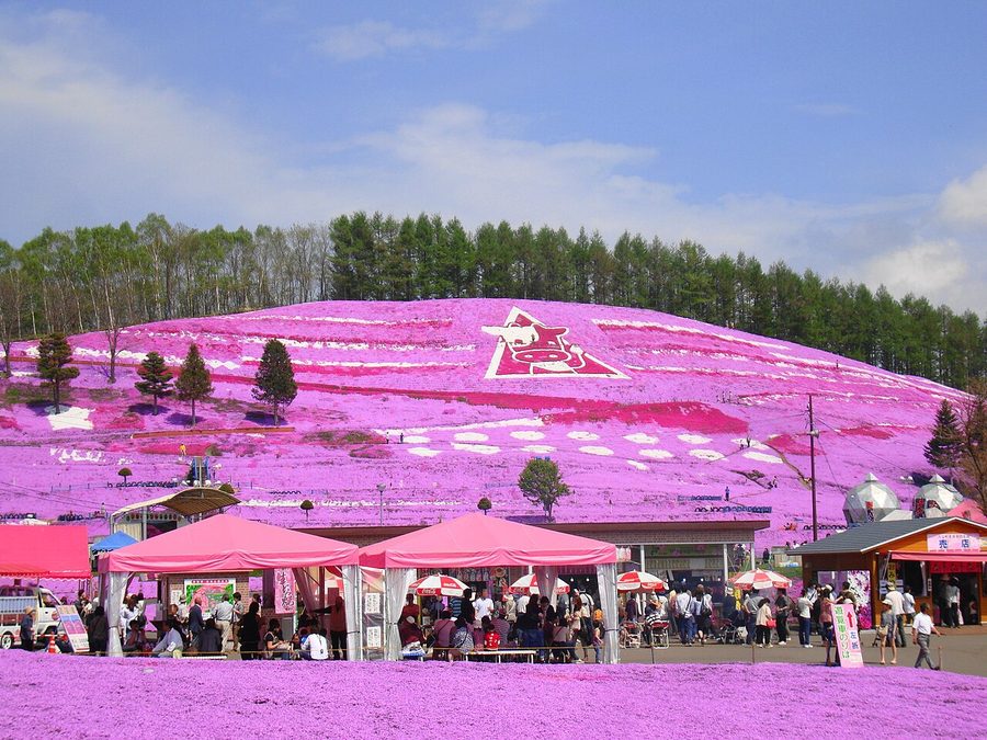 ひがしもこと芝桜まつり