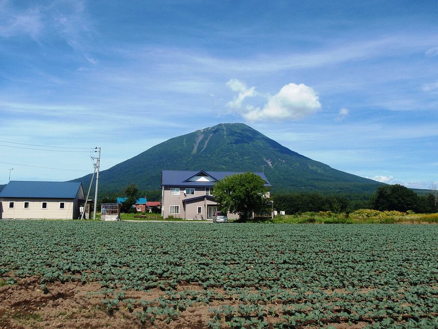 羊蹄山とまっかりユースホステル