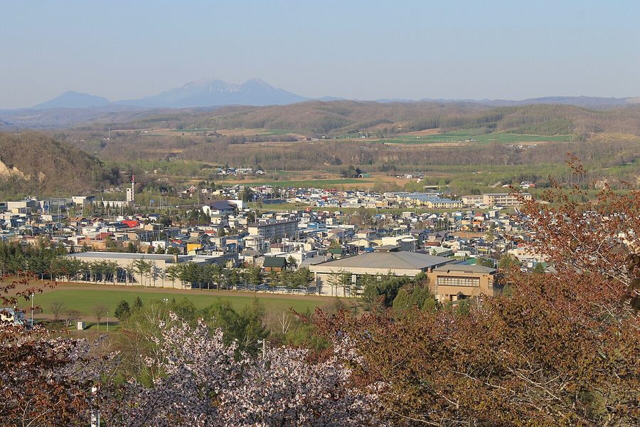 足寄町の中心市街地を見下ろす風景