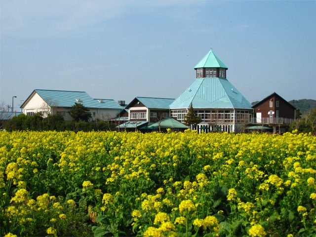 道の駅とみうら（枇杷倶楽部）