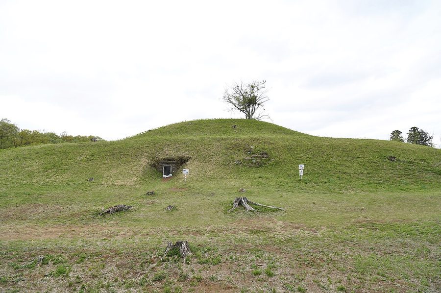 龍角寺岩屋古墳
