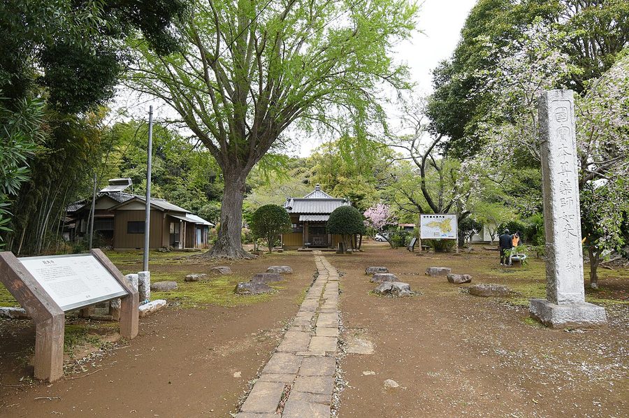 龍角寺の境内