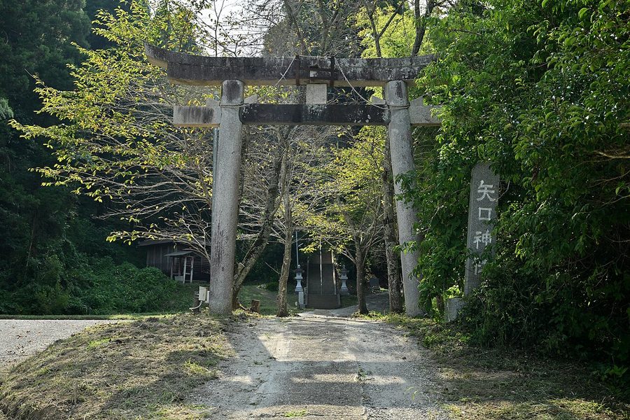 矢口神社の鳥居