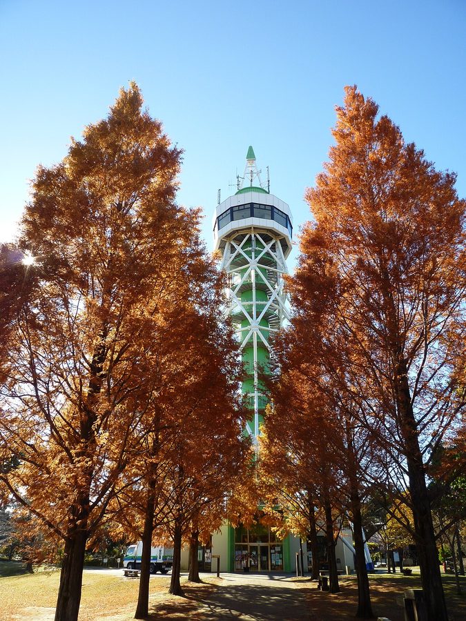さんぶの森公園の展望塔