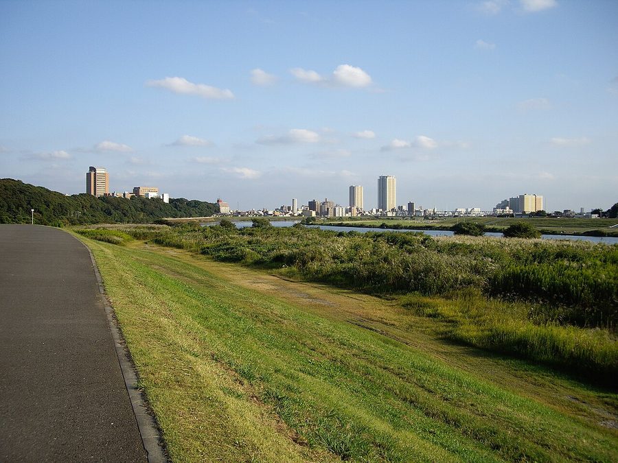 江戸川