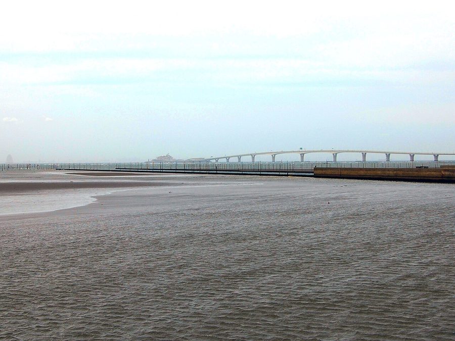 盤洲干潟(金田海岸)
