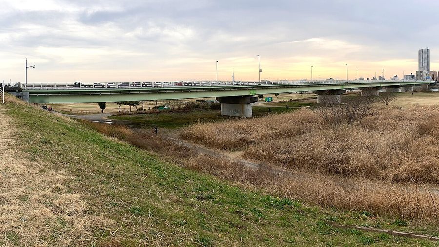 新葛飾橋
