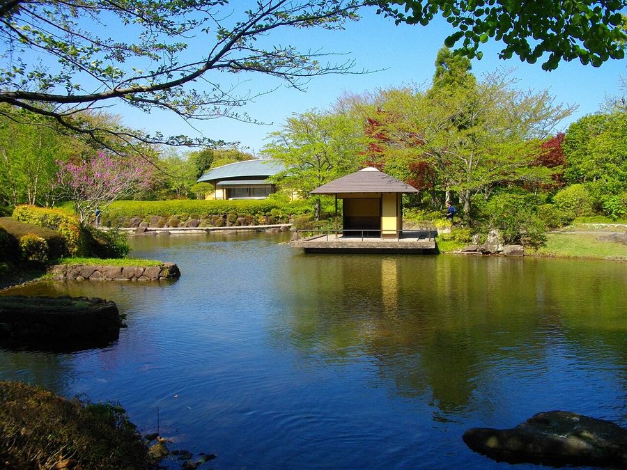 柏の葉公園牧が原園