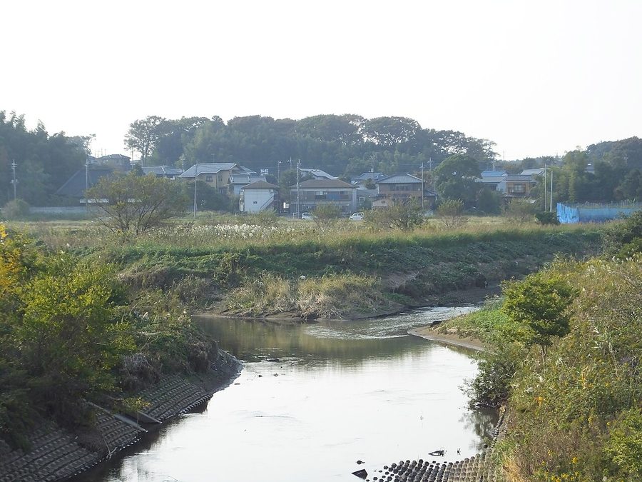 神崎川(右)と二重川(左)の合流地点