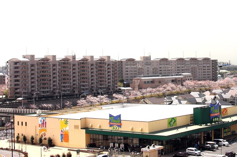 白井PRISTAから見た千葉ニュータウンの集合住宅街
