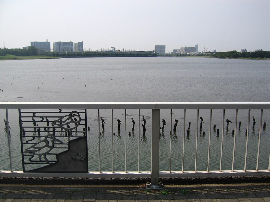 谷津干潟